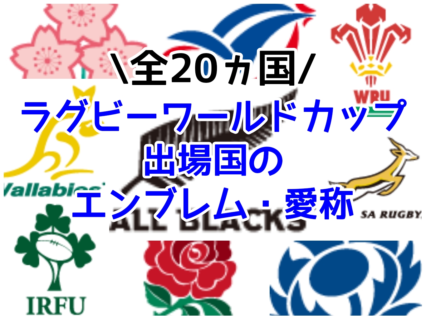 ラグビーワールドカップ2019出場国のエンブレム・愛称まとめ