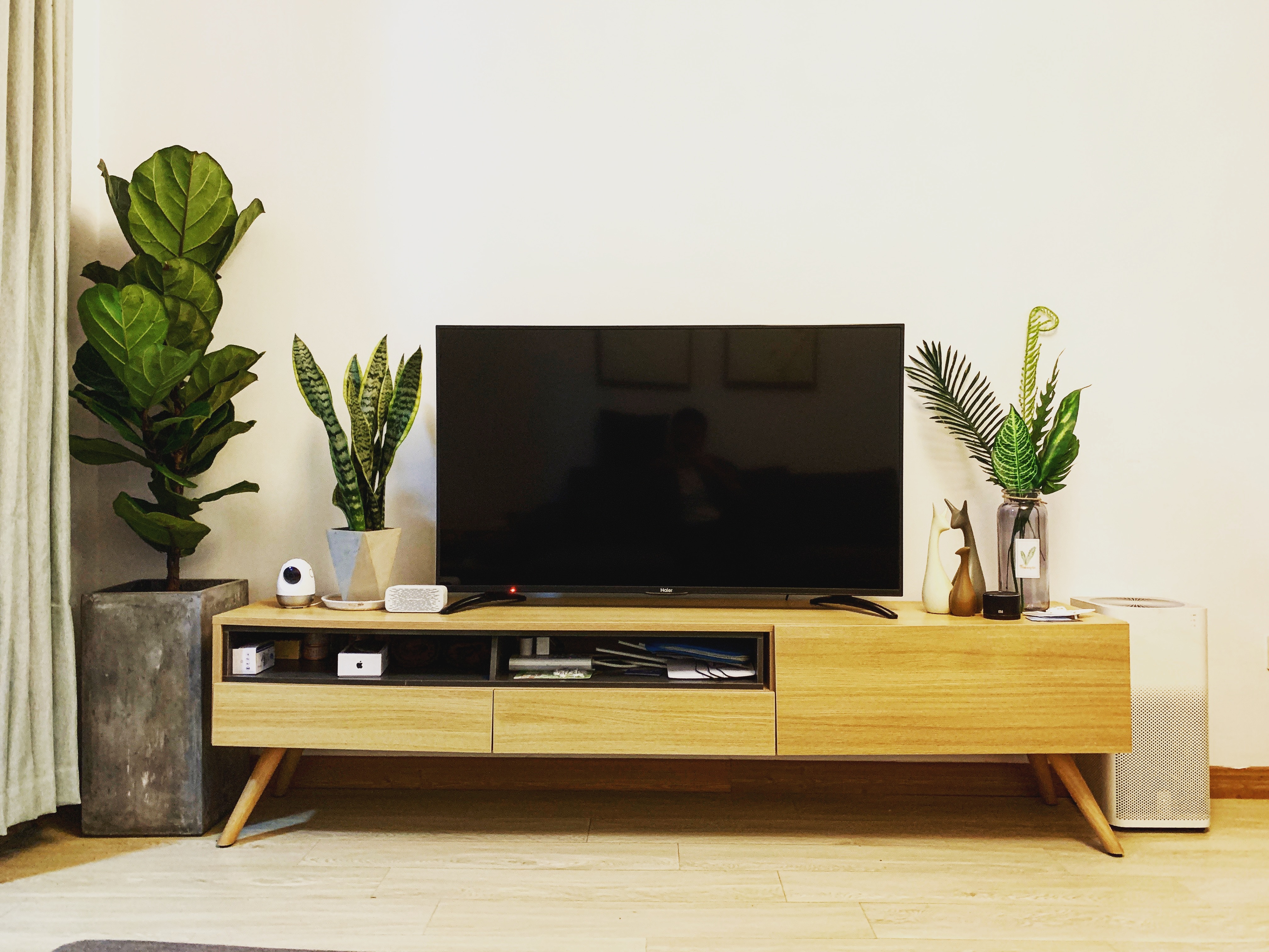 ラグビーワールドカップ2019のテレビ放送・ネット中継一覧まとめ